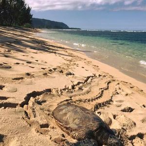 Meet your Posher, Leanne